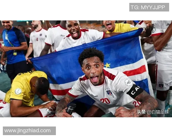 2008年世界杯冰岛与法国激战六场回顾与精彩瞬间分析