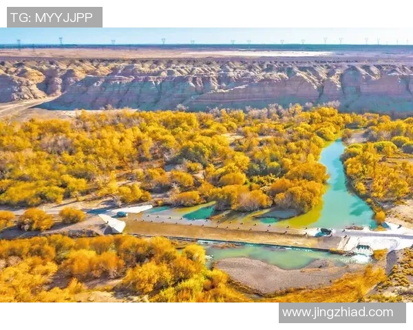 2025淮南马拉松热情开跑燃动全城 2025淮南马拉松热情开跑燃动全城